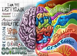 Right vs. Left Brain